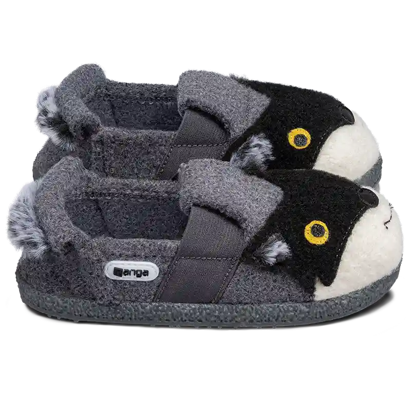 Racoon 2.0 - Image 5